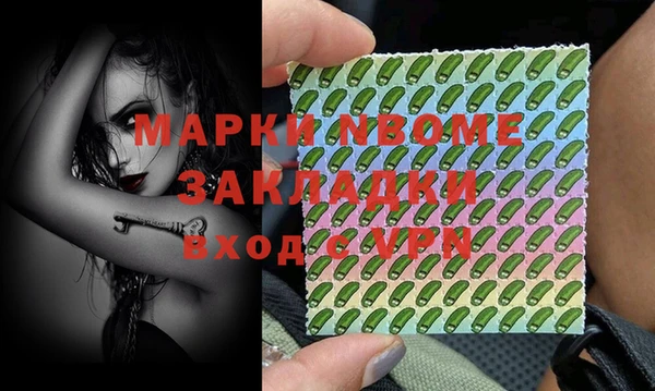 стаф Алзамай
