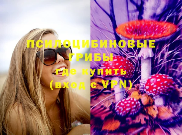 стаф Алзамай