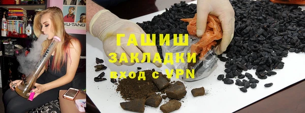 стаф Алзамай