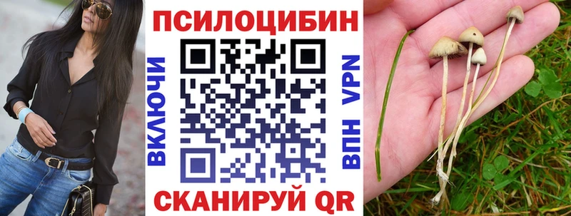 Псилоцибиновые грибы Cubensis  даркнет сайт  mega ONION  Муром 